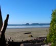 tofino beach homes link