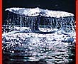 subtidal adventures image